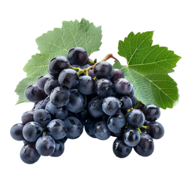 Uvas